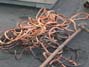 Scrap Copper Wire